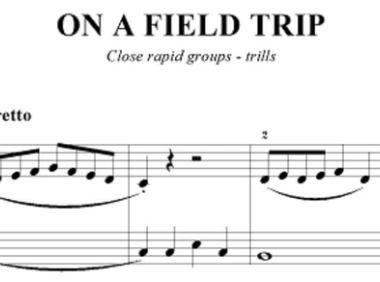 跳線睇譜法：Step or Skip？