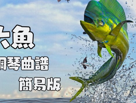 大魚 鋼琴曲譜 簡易版本