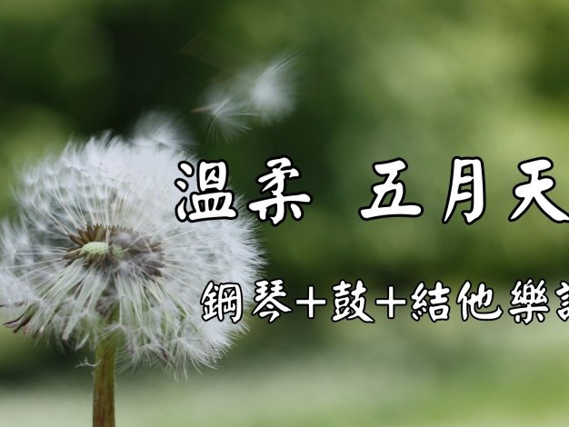 溫柔 五月天 鋼琴+結他+木箱鼓