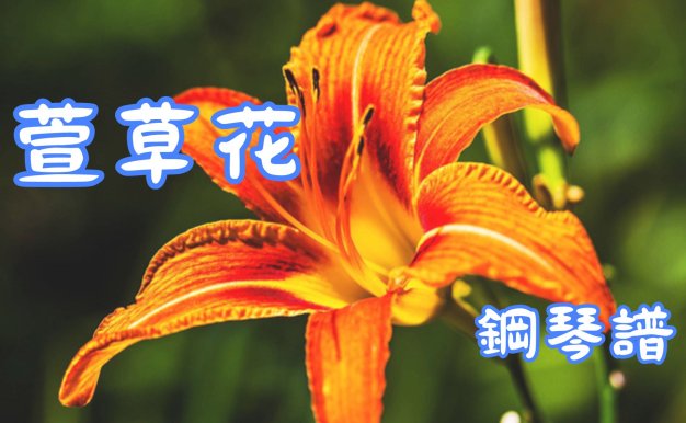 萱草花 – 鋼琴譜